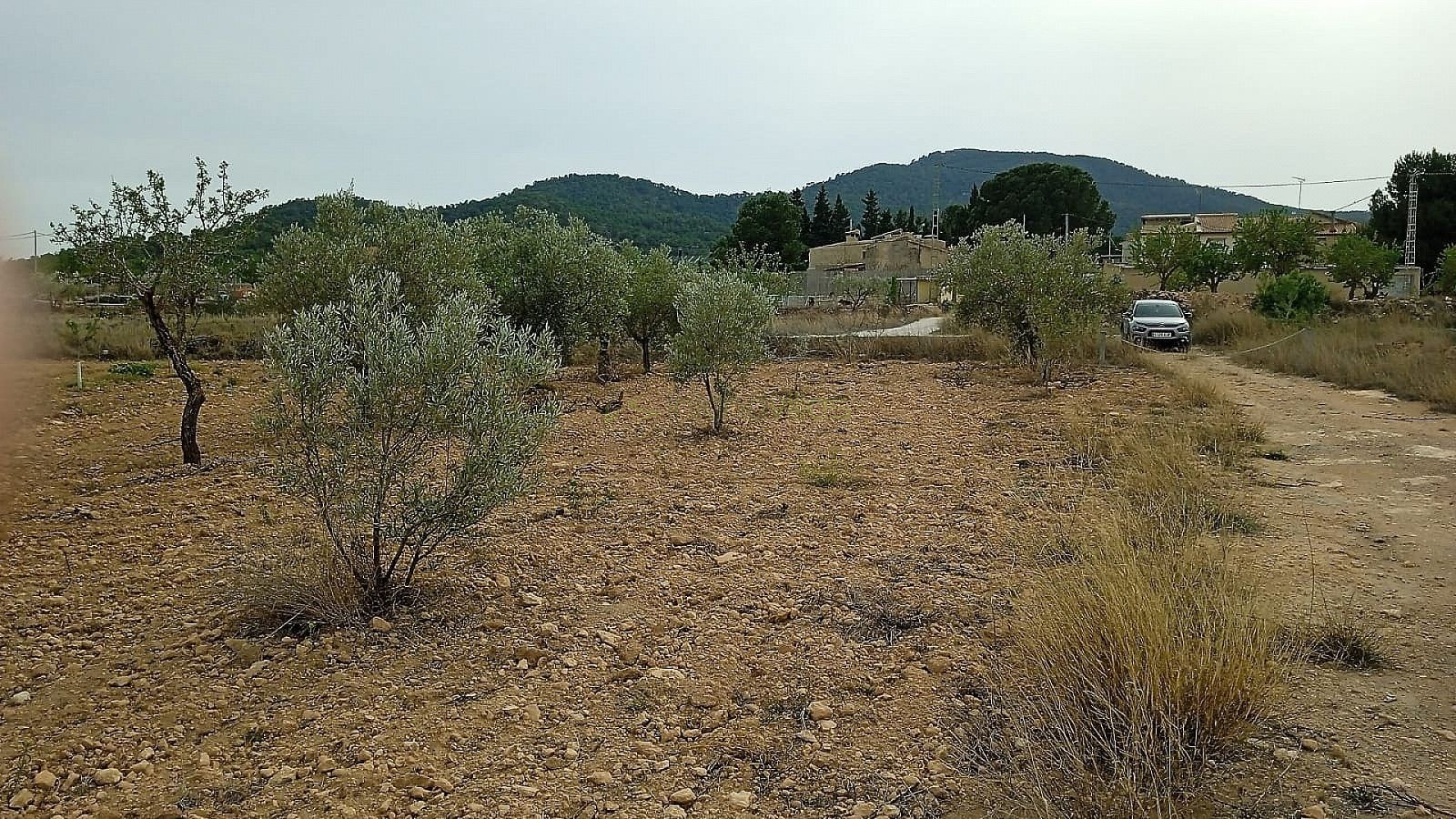 Land in Monóvar - Resale - Inland Villas Spain