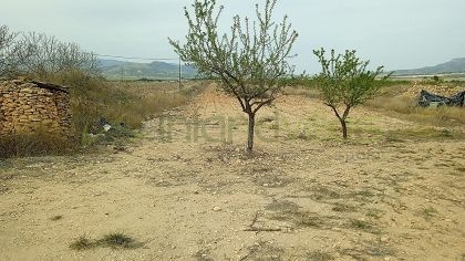 Land in Monóvar - Resale - Inland Villas Spain