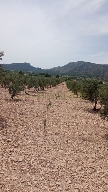 Grundstück in Salinas - Wiederverkauf - Inland Villas Spain