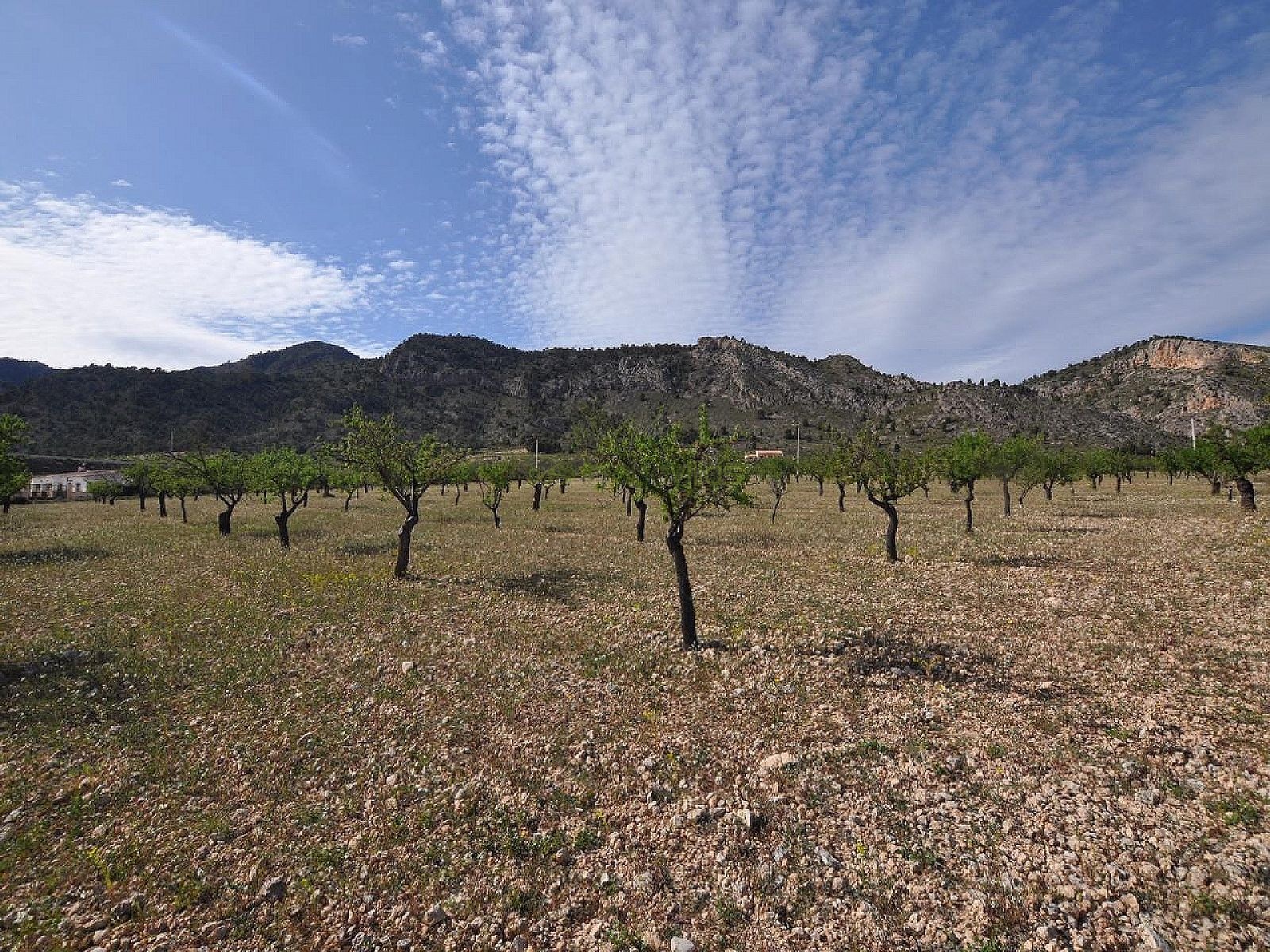 Grundstück in Salinas - Wiederverkauf - Inland Villas Spain