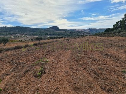 Grundstück in Pinoso - Wiederverkauf - Inland Villas Spain