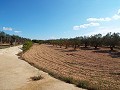 Groot landhuis, op loopafstand van de stad in Inland Villas Spain