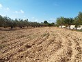 Groot landhuis, op loopafstand van de stad in Inland Villas Spain