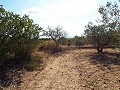 Groot landhuis, op loopafstand van de stad in Inland Villas Spain