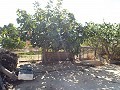 Grande maison de campagne, à distance de marche de la ville in Inland Villas Spain