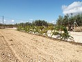 Großes Landhaus, Stadt zu Fuß erreichbar in Inland Villas Spain