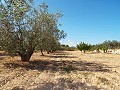 Großes Landhaus, Stadt zu Fuß erreichbar in Inland Villas Spain