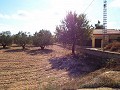 Groot landhuis, op loopafstand van de stad in Inland Villas Spain