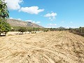 Groot landhuis, op loopafstand van de stad in Inland Villas Spain