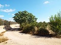 Groot landhuis, op loopafstand van de stad in Inland Villas Spain