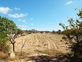 Großes Landhaus, Stadt zu Fuß erreichbar in Inland Villas Spain