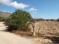 Grande maison de campagne, à distance de marche de la ville in Inland Villas Spain