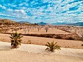 Luxueuse villa à vendre dans un emplacement exceptionnel à Macisvenda in Inland Villas Spain