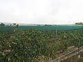 Terrain à bâtir près du Golf d'Alenda in Inland Villas Spain