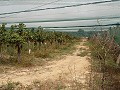 Terrain à bâtir près du Golf d'Alenda in Inland Villas Spain