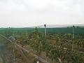 Baugrundstück in der Nähe von Alenda Golf in Inland Villas Spain