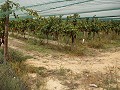 Terrain à bâtir près du Golf d'Alenda in Inland Villas Spain