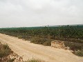 Terrain à bâtir près du Golf d'Alenda in Inland Villas Spain