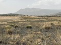 Grundstück zum Verkauf in Torre del Rico in Inland Villas Spain