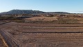 Parcelas edificables cerca del pueblo, en Pinoso in Inland Villas Spain