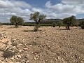 Landhuis met 4 slaapkamers, garage en zwembad in Inland Villas Spain