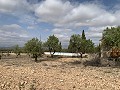 Landhuis met 4 slaapkamers, garage en zwembad in Inland Villas Spain