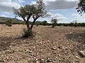 Landhuis met 4 slaapkamers, garage en zwembad in Inland Villas Spain