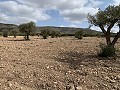 Landhaus mit 4 Schlafzimmern, Garage und Pool in Inland Villas Spain