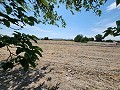 Schönes Haus mit offener Dachgeschosswohnung, nur wenige Gehminuten von Villena entfernt in Inland Villas Spain