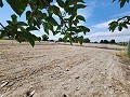 Schönes Haus mit offener Dachgeschosswohnung, nur wenige Gehminuten von Villena entfernt in Inland Villas Spain