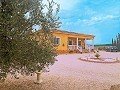 Huis met 3 slaapkamers en 2 badkamers in Torre del Rico in Inland Villas Spain