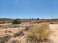 27.000 m2 grond met houten hut in Inland Villas Spain