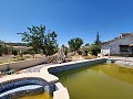 Stunning Countryhouse with Private Pool in Inland Villas Spain