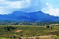 Höhlenhaus mit 4 Schlafzimmern auf riesigem Grundstück in Inland Villas Spain