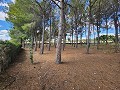 Groot huis met zwembad en tennisbaan in Inland Villas Spain