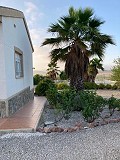 Lovely spiral villa in cañada de la Trigo in Inland Villas Spain