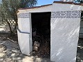 Prachtige villa met 4 slaapkamers en zwembad in Caudete in Inland Villas Spain