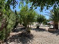 Atemberaubende 4-Schlafzimmer-Villa mit Pool in Caudete in Inland Villas Spain