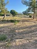 Land in Ubeda in Inland Villas Spain