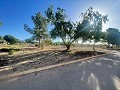 Land in Ubeda in Inland Villas Spain