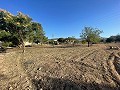 Terreno en Úbeda in Inland Villas Spain