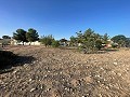 Terreno en Úbeda in Inland Villas Spain