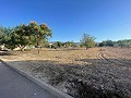 Terreno en Úbeda in Inland Villas Spain