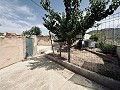 Finca de 9 habitaciones en El Cantón in Inland Villas Spain