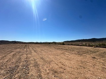 Magnifique terrain à bâtir à Cañada Del Trigo