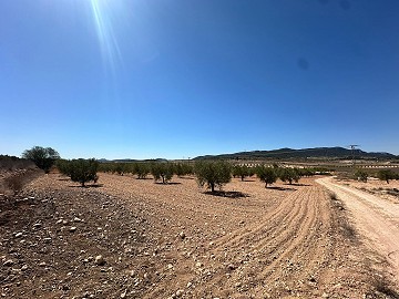 Huge building plot in Cañada Del Trigo