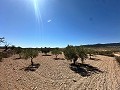 Magnifique terrain à bâtir à Cañada Del Trigo in Inland Villas Spain