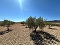 Magnifique terrain à bâtir à Cañada Del Trigo in Inland Villas Spain