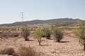 Finca de 4 dormitorios en Torre de Rico in Inland Villas Spain