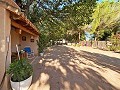 Maison de campagne de 4 chambres à 4 min de Pinoso in Inland Villas Spain